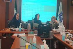 برگزاری جلسه مسوولین فنی واحدهای محیطی تحت پوشش شبکه بهداشت و درمان اسلامشهر